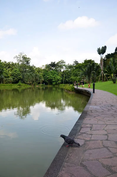 Lago em Singapura Jardim Botânico — Fotografia de Stock
