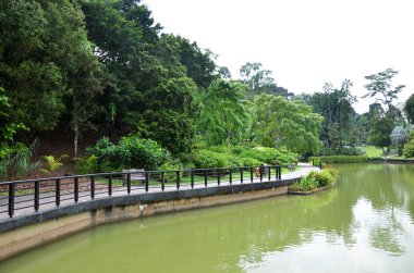Singapur Botanik Bahçesi gölde