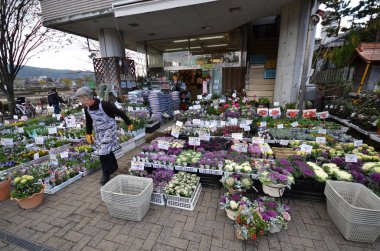 Çiçekçi dükkanı yol tarafında yer Kyoto, Japonya