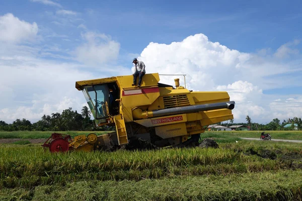 Εργαζόμενος χρησιμοποιεί μηχάνημα για την συγκομιδή του ρυζιού paddy πεδίο — Φωτογραφία Αρχείου