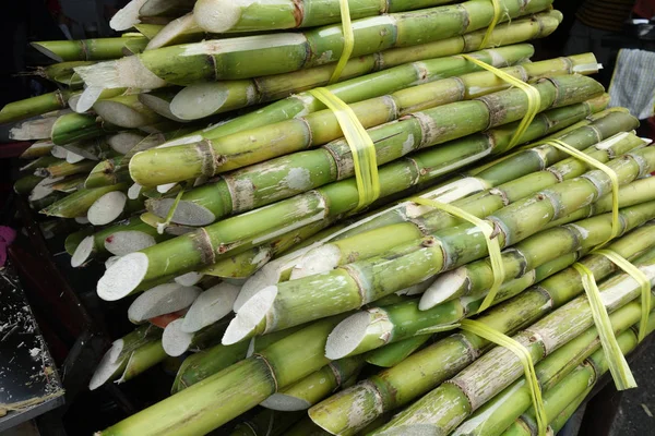 Sugarcane placed on street in Penang — Stock Photo, Image