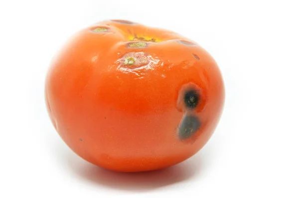 Тухлими помідори, ізольовані — стокове фото