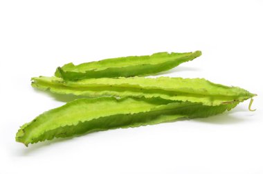 Beyaz arka plan üzerinde kanatlı fasulye