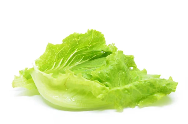 Zielona sałata chiński — Zdjęcie stockowe