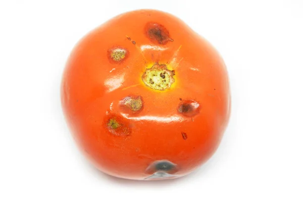 Zgniłe pomidory na białym tle — Zdjęcie stockowe