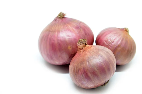 Cebolla morada aislada sobre un fondo blanco — Foto de Stock