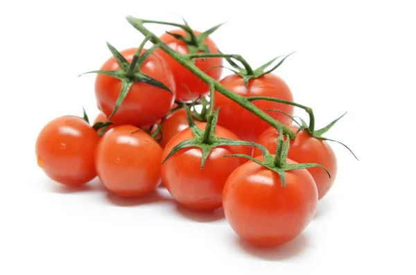 Rote Kirschtomate — Stockfoto