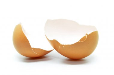 Broken egg shell