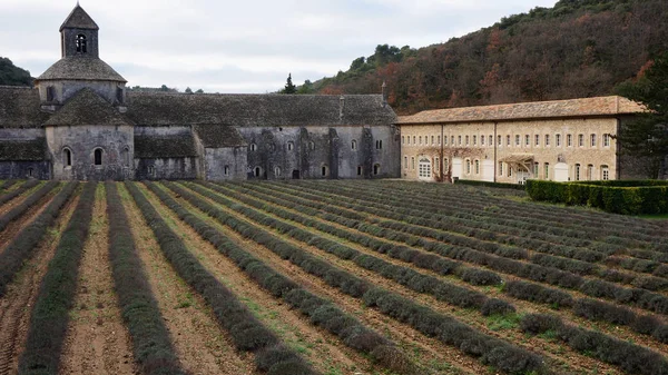 Senanque Abbey nära Gordes, Frankrike — Stockfoto