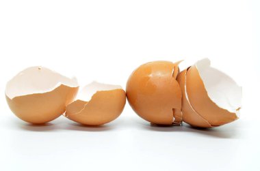 Broken egg shell