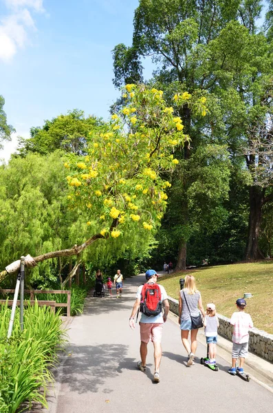 Touristes marchant au Jardin Botanique de Singapour — Photo