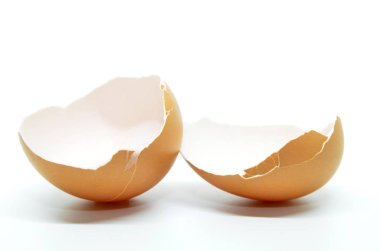 Broken egg shell