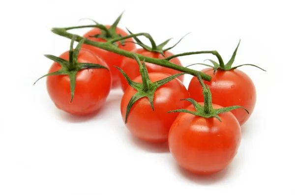 Rote Kirschtomate — Stockfoto