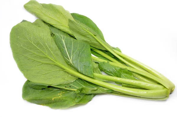 Choy sum vegetable — Stock Photo, Image