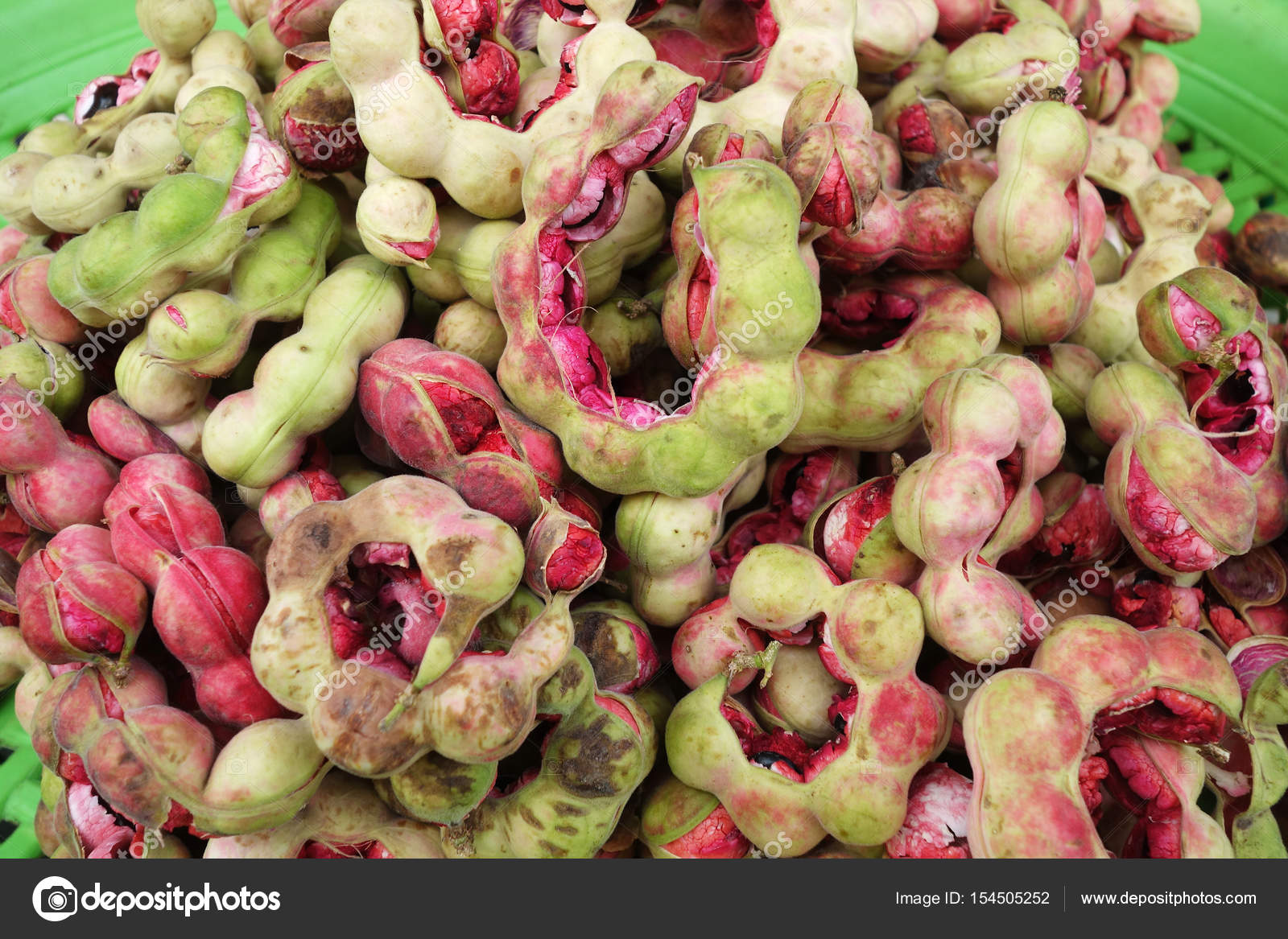 Manila Tamarind Fruit Stock Photo Image By C Tang Manila Tamarind Fruit Stock Photo Image By C Tang