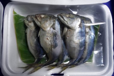 Piyasada satılan Mae Klong Mackerel balık