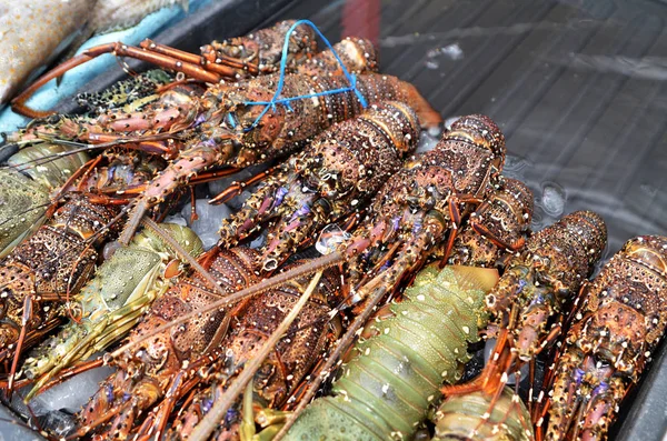 Homards frais vendus au marché de nuit à Kota Kinabalu — Photo