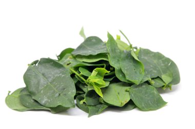 Sauropus androgynus, katuk, yıldız bektaşi üzümü olarak da bilinir