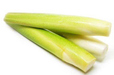 Tatlı su bambu sürgün