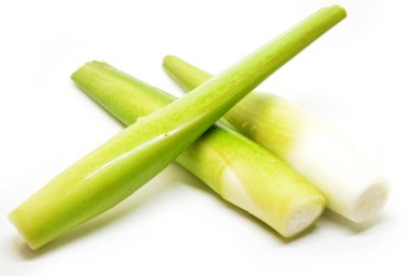 Tatlı su bambu sürgün