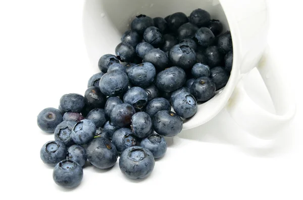 Tasty blueberries isolated — Stock Photo, Image