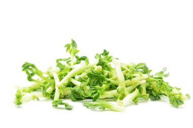 Fıstık lahanası izole