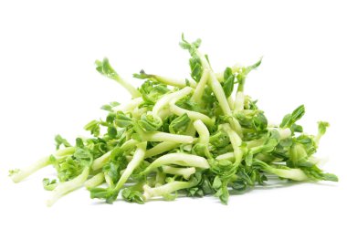 Fıstık lahanası izole