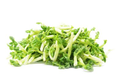 Fıstık lahanası izole