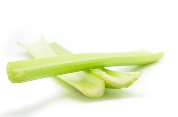 Čerstvý zelený celer — Stock fotografie