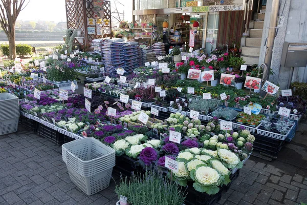 Blumenladen am Straßenrand von Kyoto, Japan — Stockfoto