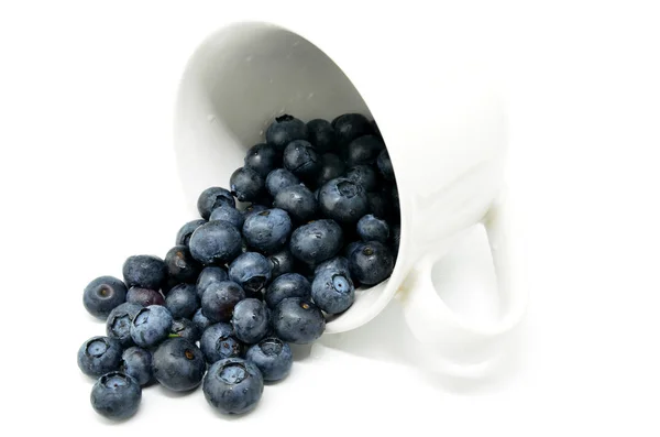 맛 있는 블루베리 절연 — 스톡 사진