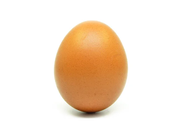 Single chicken egg — Stock Photo, Image