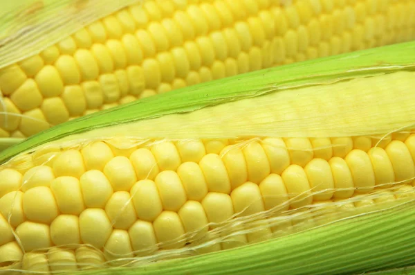 Grains of ripe corn photo of maize close-up — Stock Photo, Image