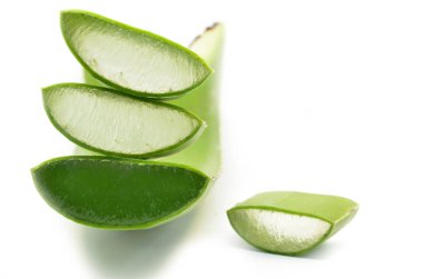 vers blad Aloë vera geïsoleerd