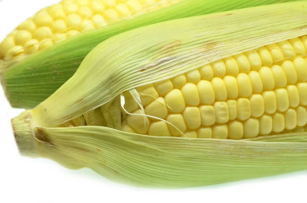 Grains of ripe corn photo of maize close-up — Stock Photo, Image