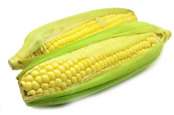 Ziarna kukurydzy dojrzałe Zdjęcia z kukurydzy zbliżenie — Zdjęcie stockowe