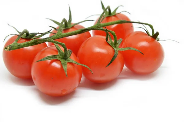 Czerwony pomidor — Zdjęcie stockowe