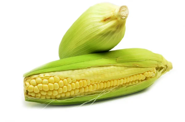 Granos de maíz maduro foto de primer plano de maíz —  Fotos de Stock