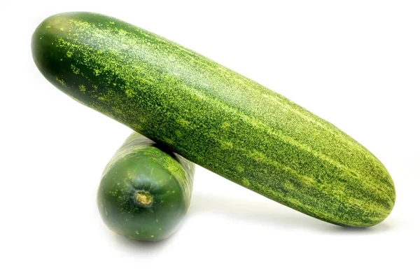 Свіжий зелений огірок — стокове фото