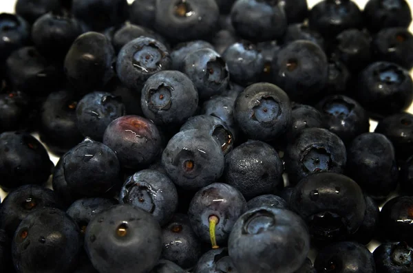 Blueberry lezat terisolasi — Stok Foto