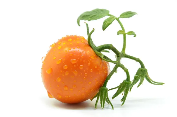 Tomate fresco con gotas de agua — Foto de Stock