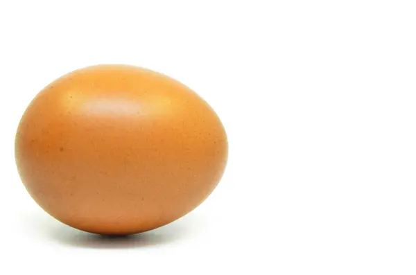 Single chicken egg — Stock Photo, Image