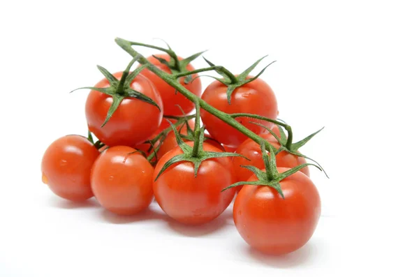 Rote Kirschtomate — Stockfoto