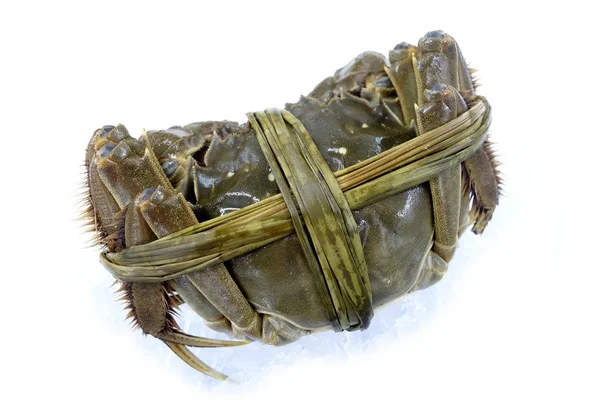 Raw shanghai hairy crab — Stock Photo, Image