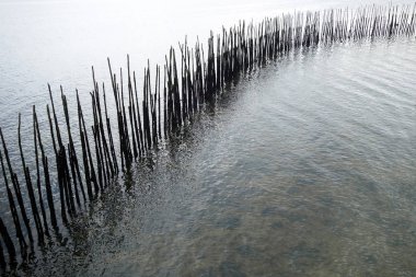 Bambu duvar denizde