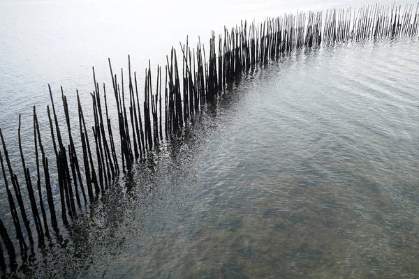 Mur de bambou dans la mer — Photo