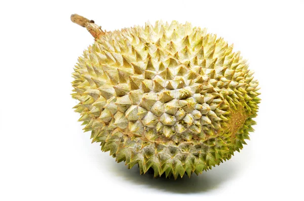 Durian fruit isolated on white background — Stock Photo, Image