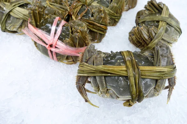 Raw shanghai hairy crab — Stock Photo, Image