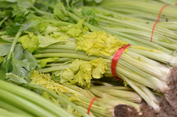 Bunch of Chinese celery — Stock Photo, Image