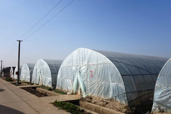 Gran invernadero para plantas en otoño — Foto de Stock